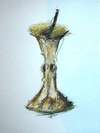 Natur in Apfel und Tee - Copyright Nils Neumann - NN-art