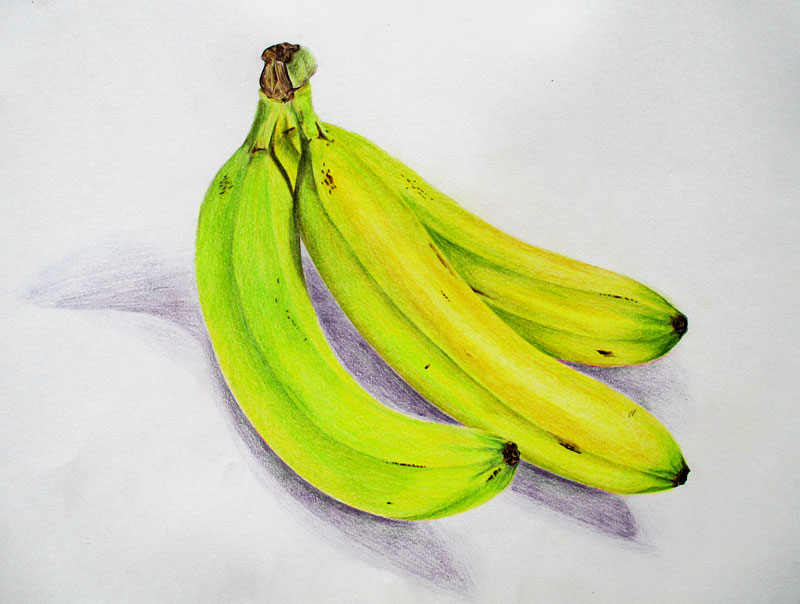 Langweilige Bananen ~ Copyright Nils Neumann ~ NN-art