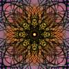 Synomone 1 - Copyright Nils Neumann - NN-art