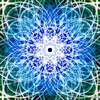 Synomone 4 - Copyright Nils Neumann - NN-art
